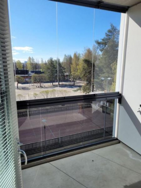 Professori Joensuu